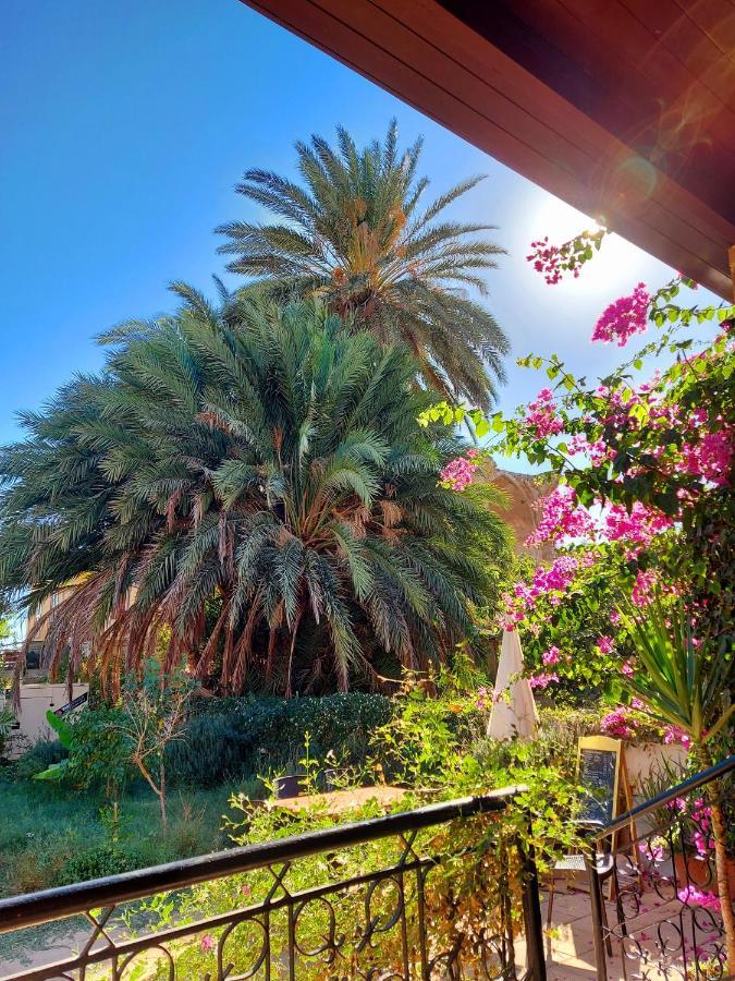 Golden Palms Guest House & Cafe ฟามากุสต้า ภายนอก รูปภาพ